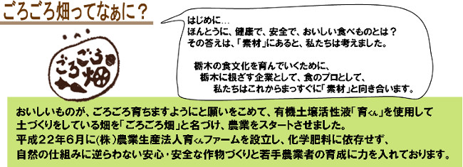 自社グループ農場「ごろごろ畑」の野菜も、納品しております！