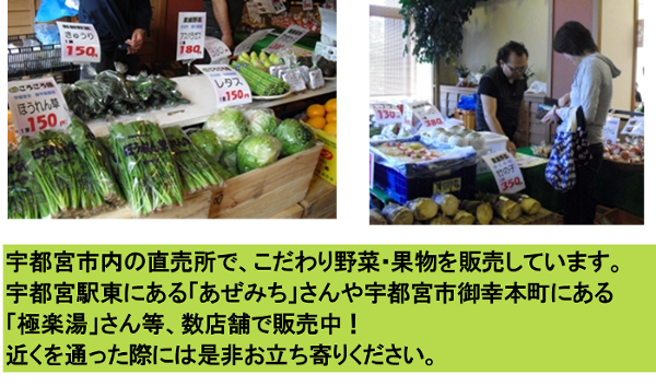 直売所での野菜販売