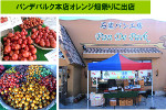 パンデパルク本店オレンジ畑祭りに出店