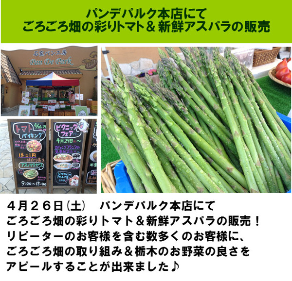 パンデパルク本店にて新鮮アスパラの販売