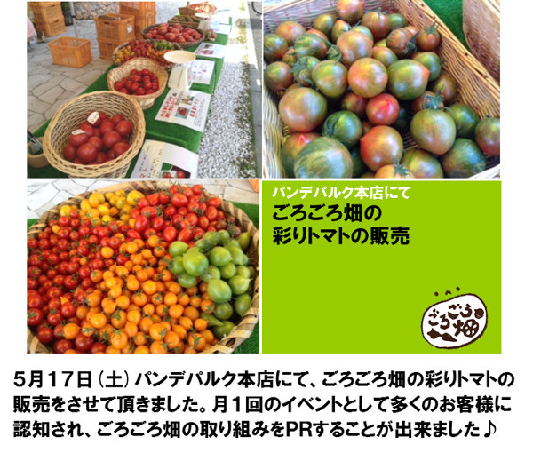 パンデパルク本店にてごろごろ畑の彩りトマトの販売