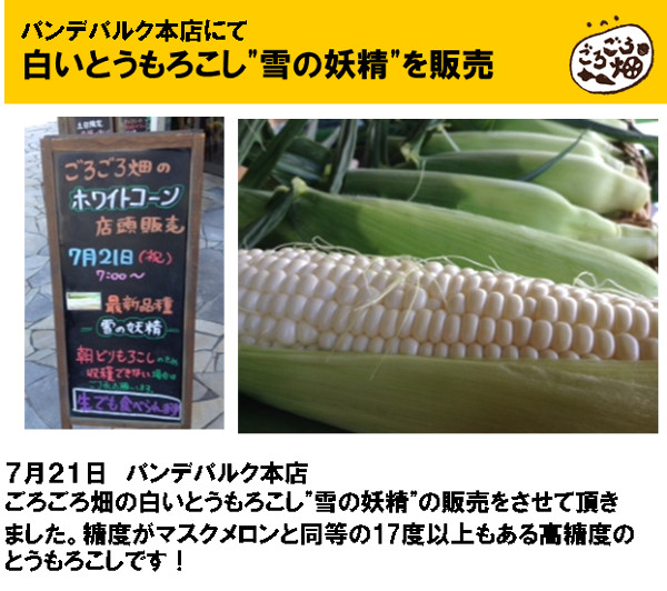 パンデパルク遊店にてごろごろ畑の彩りトマト及びアスパラの販売