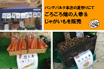 パンデパルク本店の夏祭りにてごろごろ畑の人参＆じゃがいもを販売